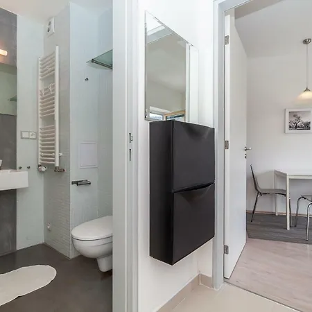 Апартаменты Apartman Klinovec Лоучна-под-Клиновцем